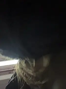 Porn_cornn live sex cam