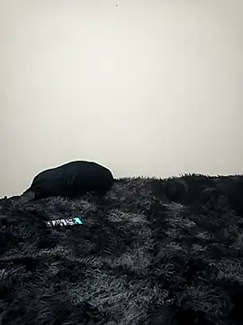 interracialhot's cam snapshot