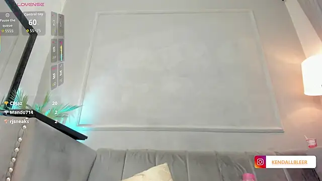 Kendallbleer's cam snapshot