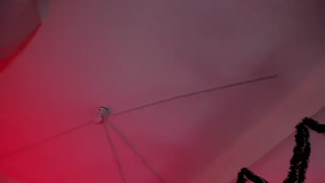 SabrinaV_'s cam snapshot