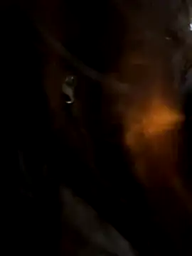 SnappyHappy's cam snapshot