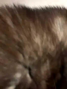 dawnbeforesunset's cam snapshot