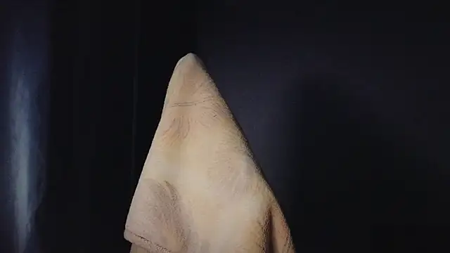 HotBrandyX's cam snapshot