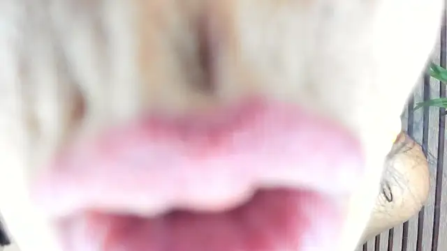 AnnaArela's cam snapshot