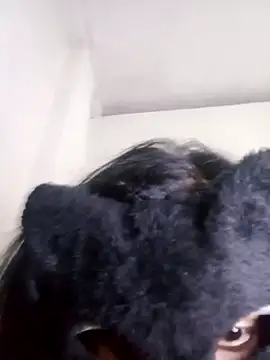 Slllll_Couple00 live sex cam