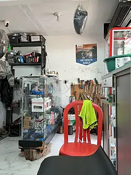 Paul22cm- live sex cam