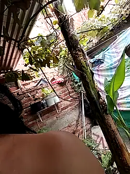 Rous-squir's cam snapshot