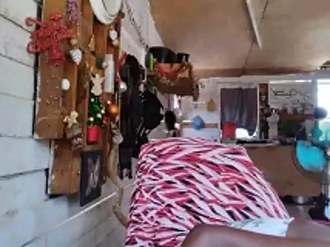 self-sufficientplay's cam snapshot