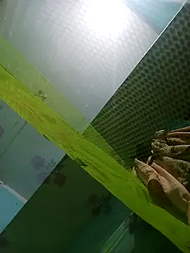 Apkisona8's cam snapshot