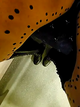 Moibcp_luipeu's cam snapshot