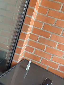 star_anastasia live sex cam