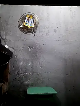 hecwil8 live sex cam