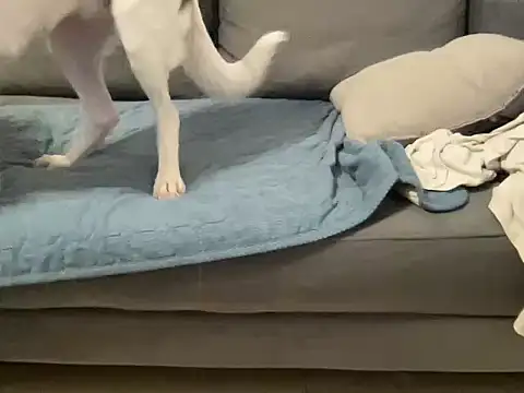 4small4inchlol live sex cam