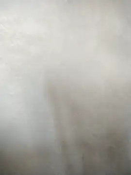 Dalou3a-69's cam snapshot