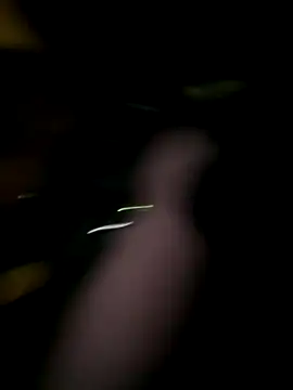 Manson13333 live sex cam