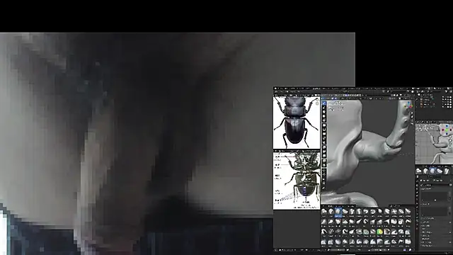 ikkakusai11 live sex cam