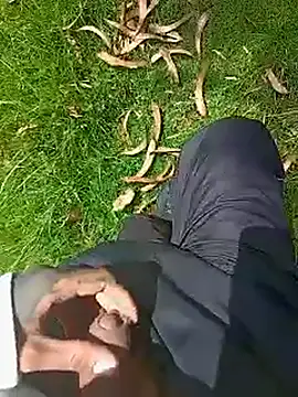 Cuervo_maniaco live sex cam