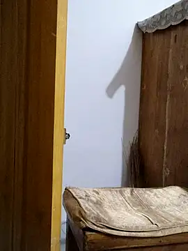 Tanha18 live sex cam