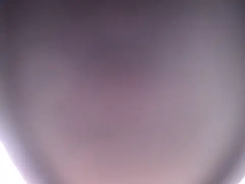 quenn-squirtanal's cam snapshot