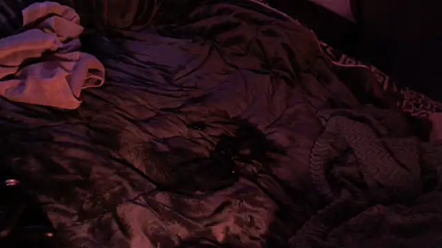 SpunsieLove live sex cam