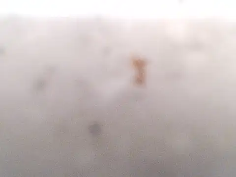 Leiraxxx's cam snapshot