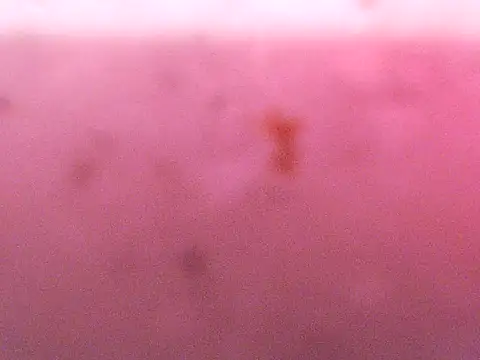 Leiraxxx's cam snapshot