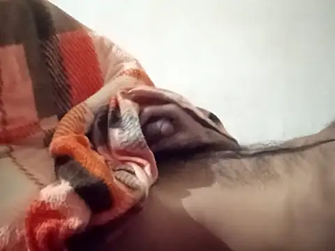 MoonlessSurgery's web cam