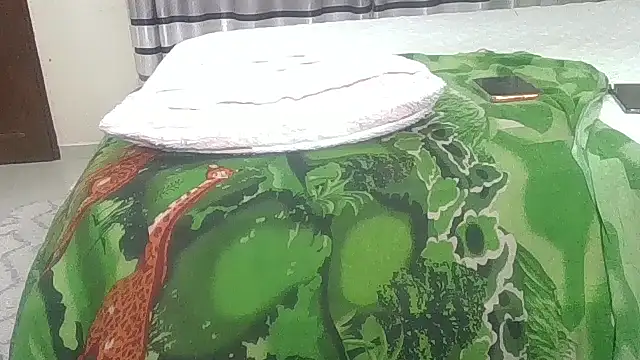 Fine_assie's cam snapshot