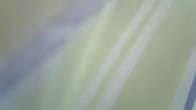 perescam's cam snapshot