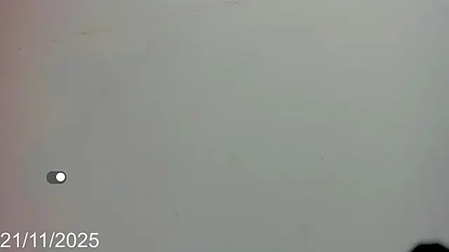 dahian_fox7 live sex cam