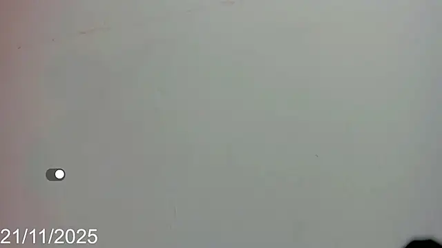 dahian_fox7 live sex cam