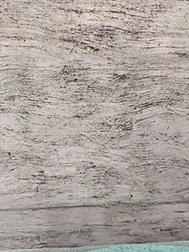 hot_plak's cam snapshot