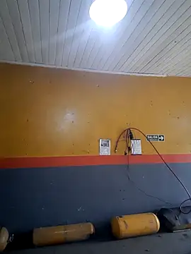 hecwil8 live sex cam