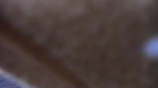 Caroline_dh's cam snapshot