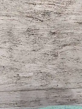 hot_plak's cam snapshot