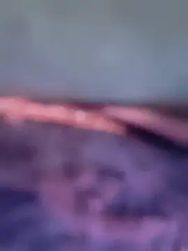 wildsakhi's cam snapshot