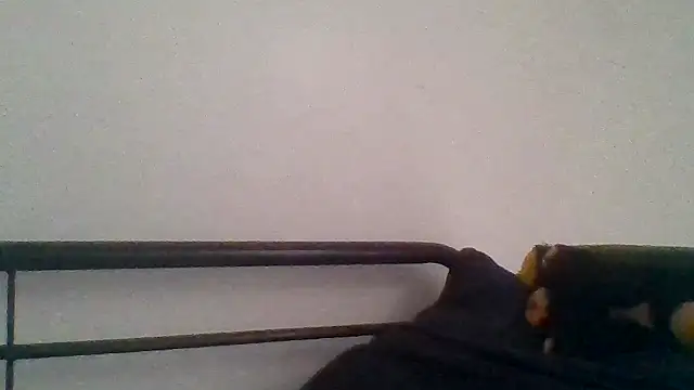 _she_was_a_fairy's cam snapshot