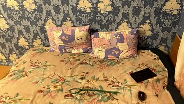 Haer389671's cam snapshot