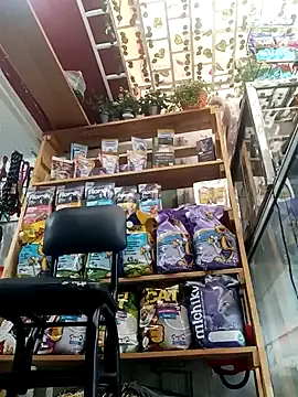 eva_rushh's cam snapshot