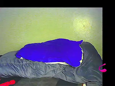 lilylovexx's cam snapshot