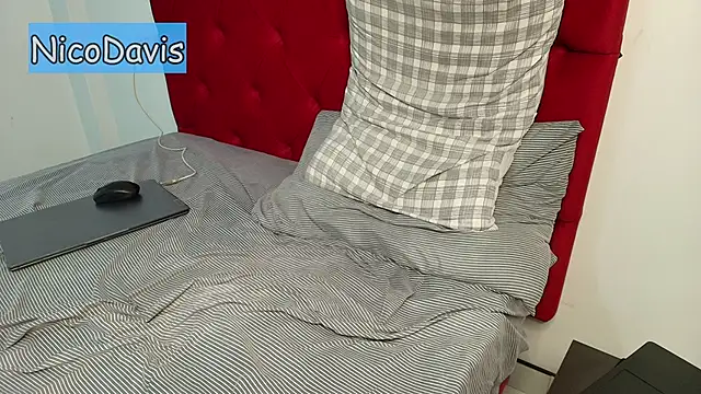 NicoDavisOfficial's cam snapshot