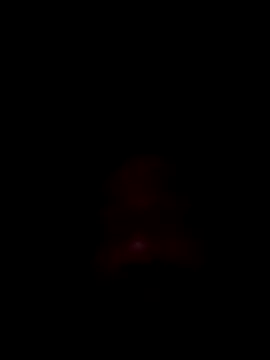 Bongaman696969's cam snapshot