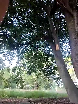 ChloeRaviss live sex cam