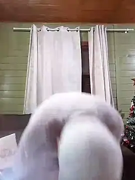 PauGostoso051's cam snapshot