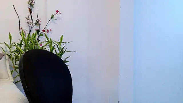 Allhondra's cam snapshot