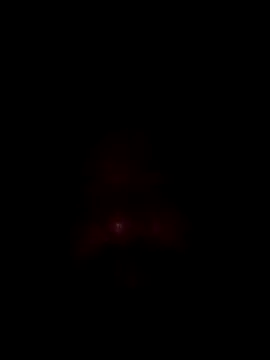 Bongaman696969's cam snapshot