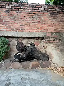 sweet_outdoor_charm live sex cam