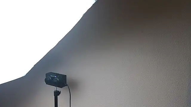 Sandra_Snowflake's cam snapshot