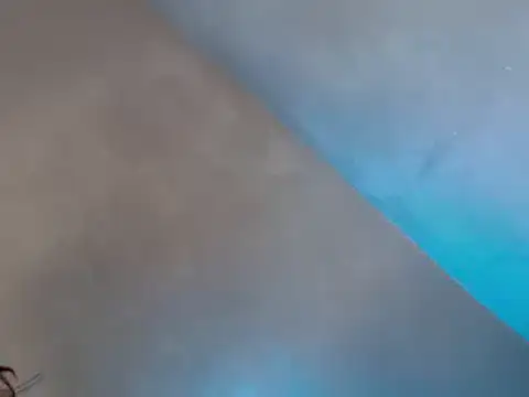 hermosa28x live sex cam