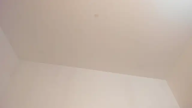 FrancescaSkuirt live sex cam